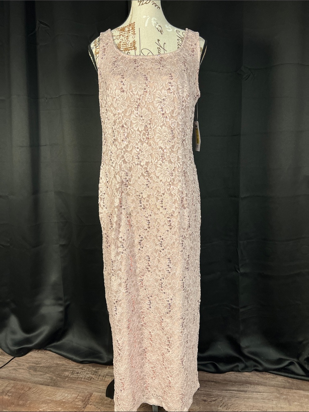 R&M Richards Pale Pink Lace Maxi Dress